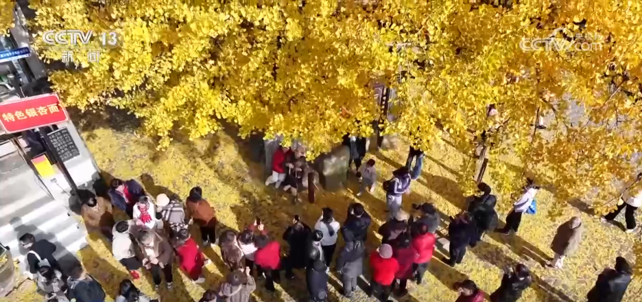 “限量版”秋冬美景成为旅游“金名片” 各地打造文旅市场新增长点