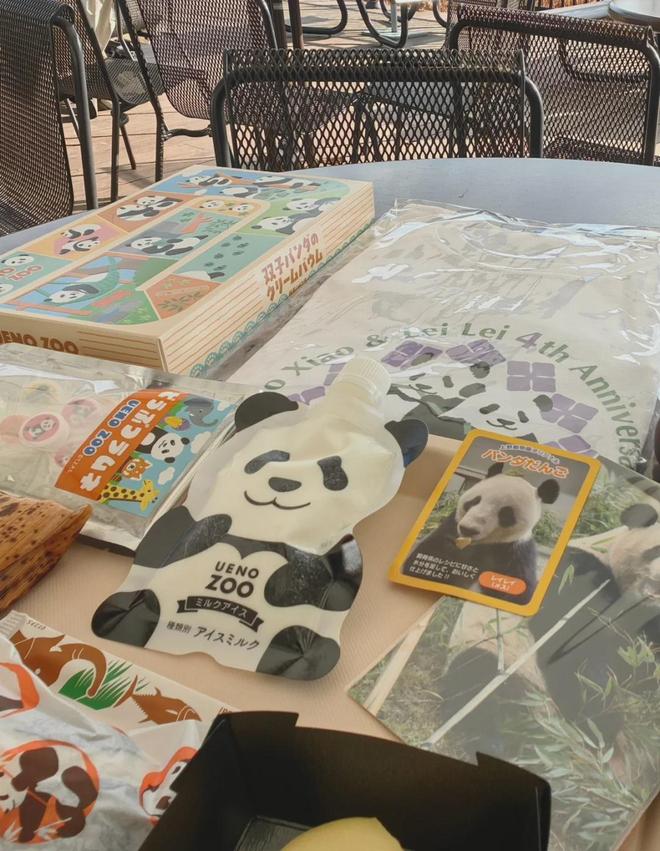 日本上野动物园大熊猫“晓晓”“蕾蕾”即将回国 预约参观火爆